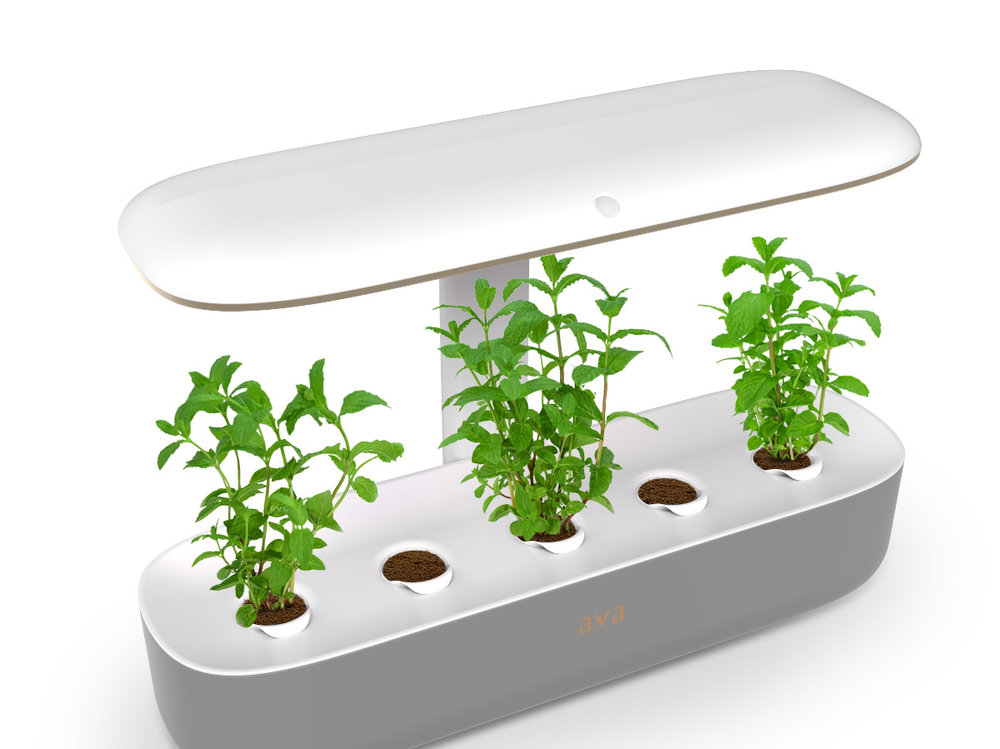 Byte Packaging - Angled view 070119 -with plants-bg-3.jpg