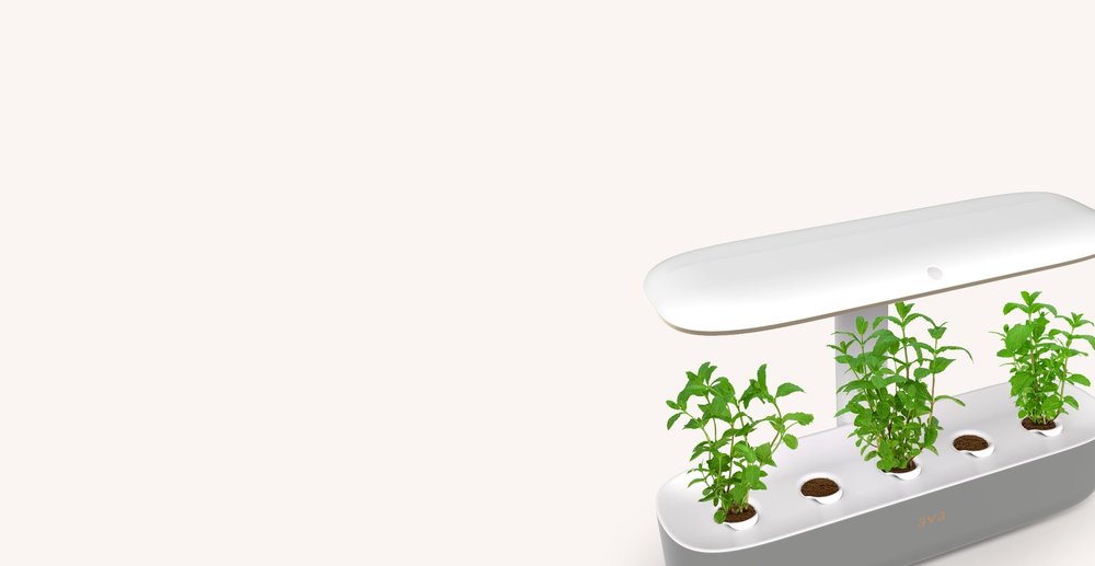 Byte+Packaging+-+Angled+view+070119+-with+plants-bg.jpg
