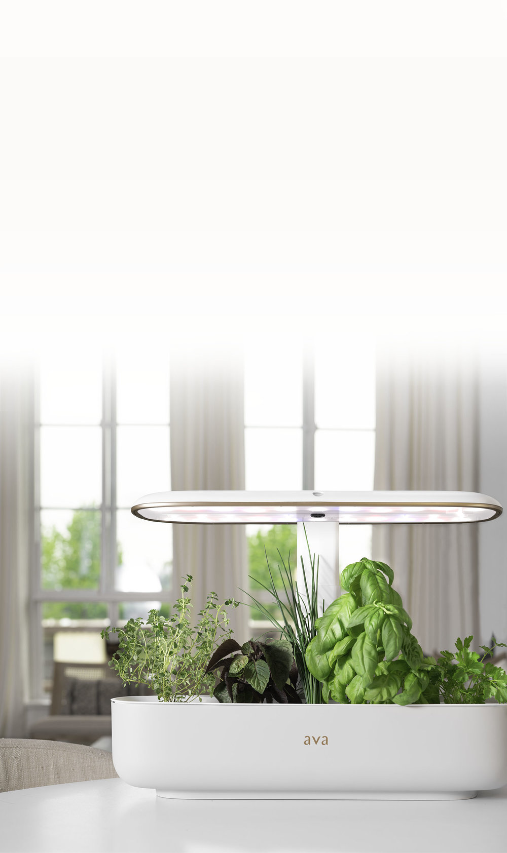 DSC00711_web_mobile_low res.jpg