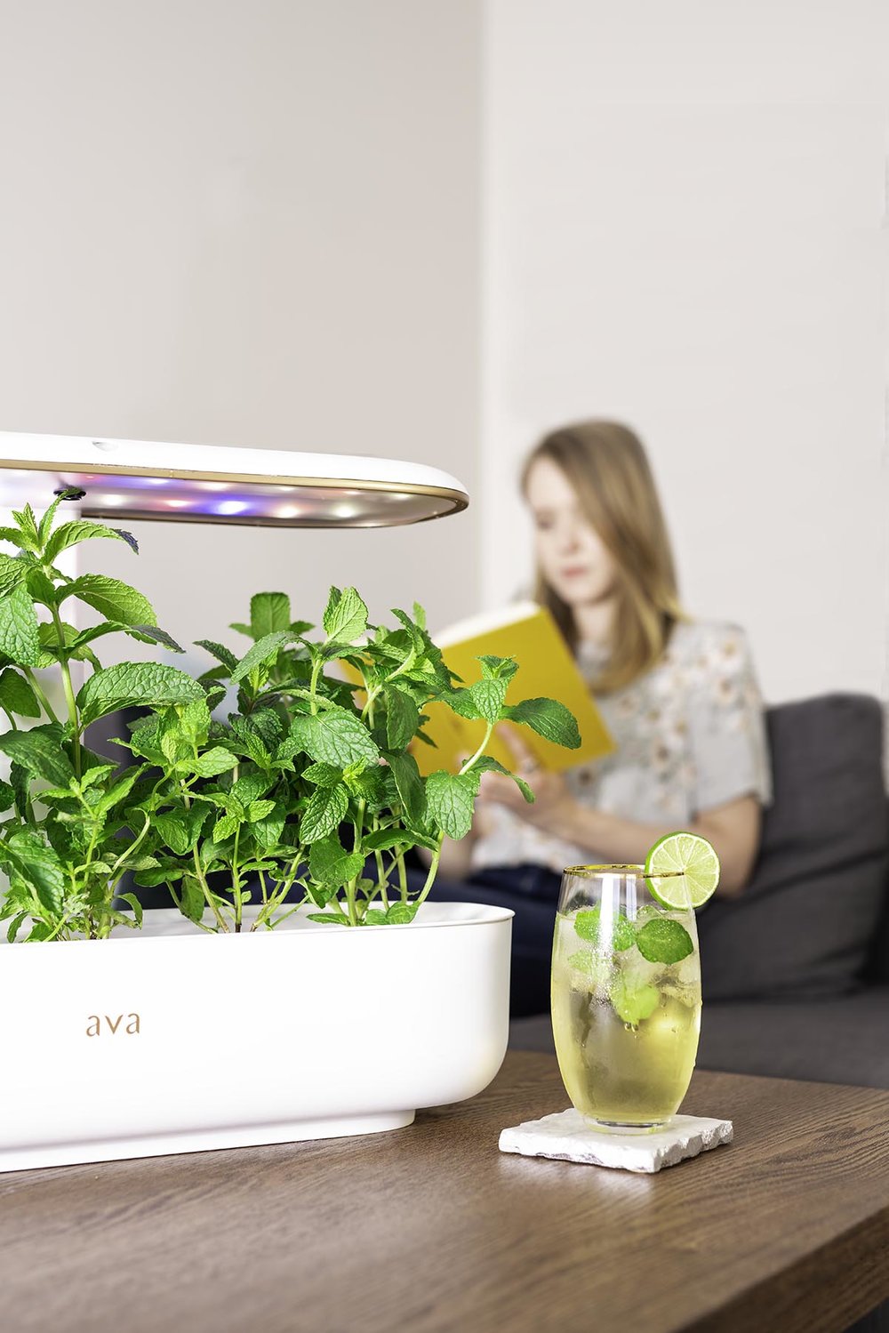 DSC00862-low res.jpg